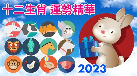 2023 水兔年 八卦象數